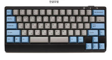 Leopold FC650MDS PD Grey/Blue Korean Non-Clicky (Brown Switch)