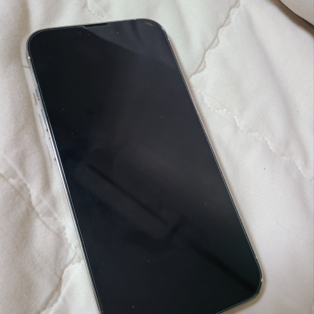 Apple A2638 IPhone13Pro Unlocked IPhone 13 Pro